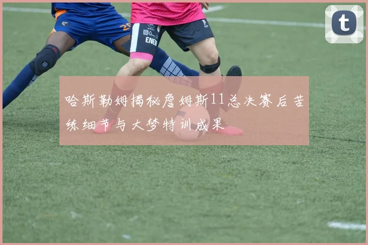 哈斯勒姆揭秘詹姆斯11总决赛后苦练细节与大梦特训成果