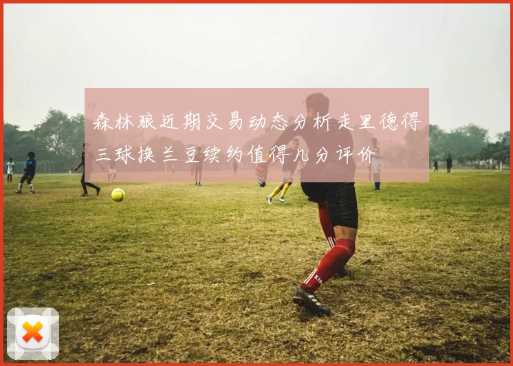 森林狼近期交易动态分析走里德得三球换兰豆续约值得几分评价